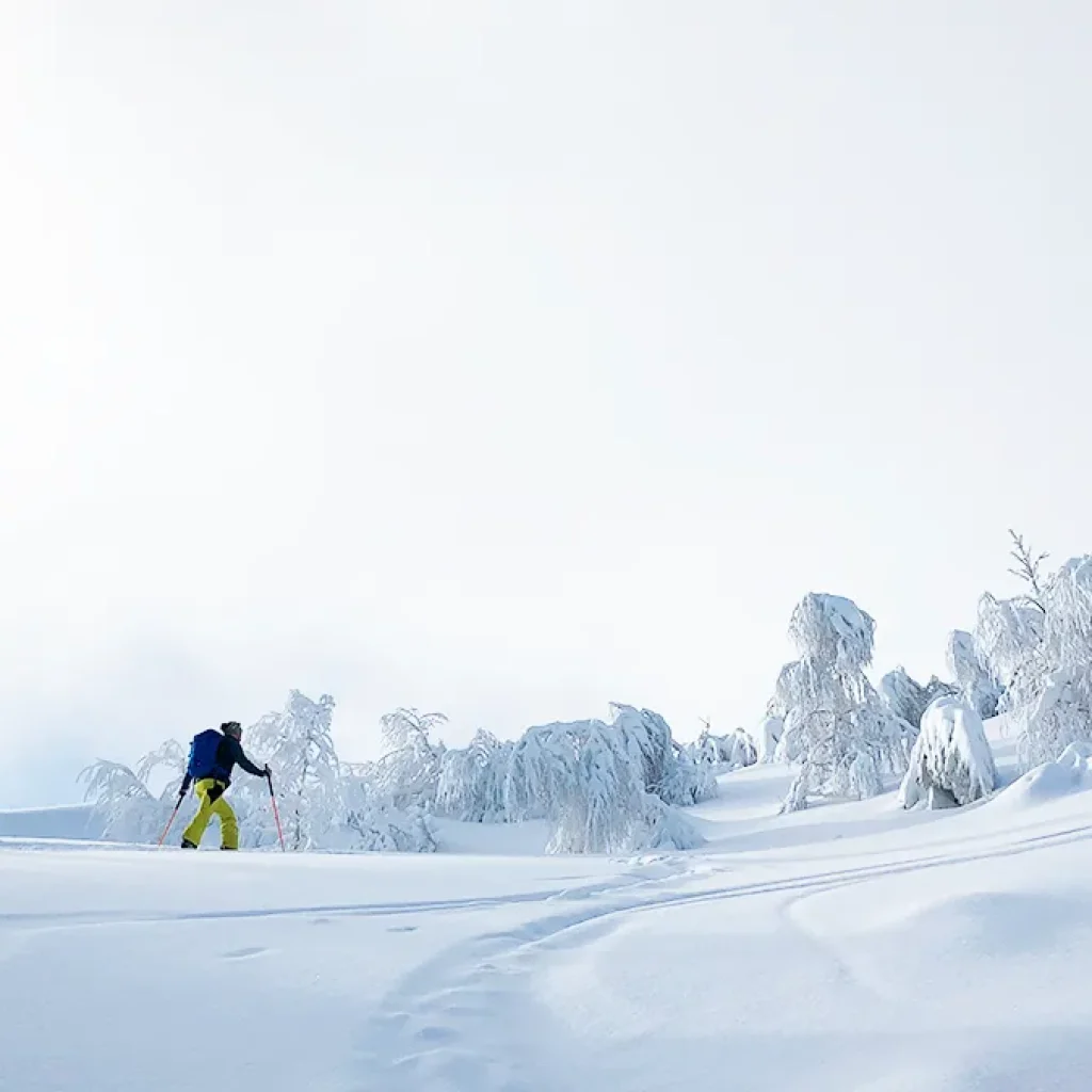 Julian Alps